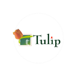 tulip.png